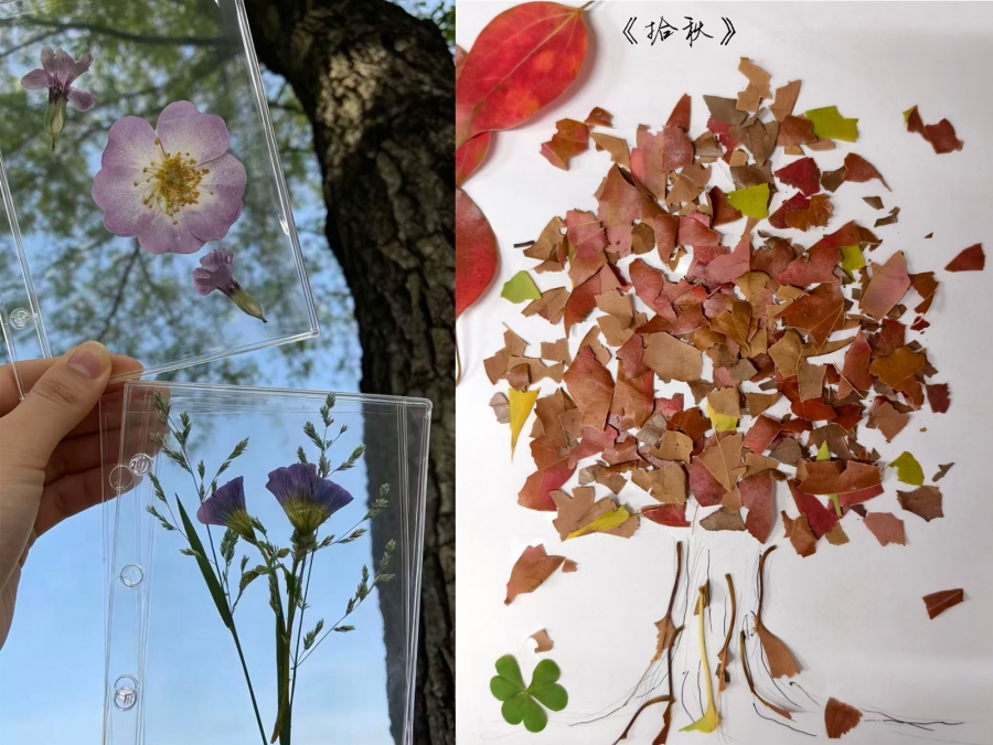 春满校园绿意浓 躬身实践育新人——yl6809永利检测中心开展植树节主题系列活动